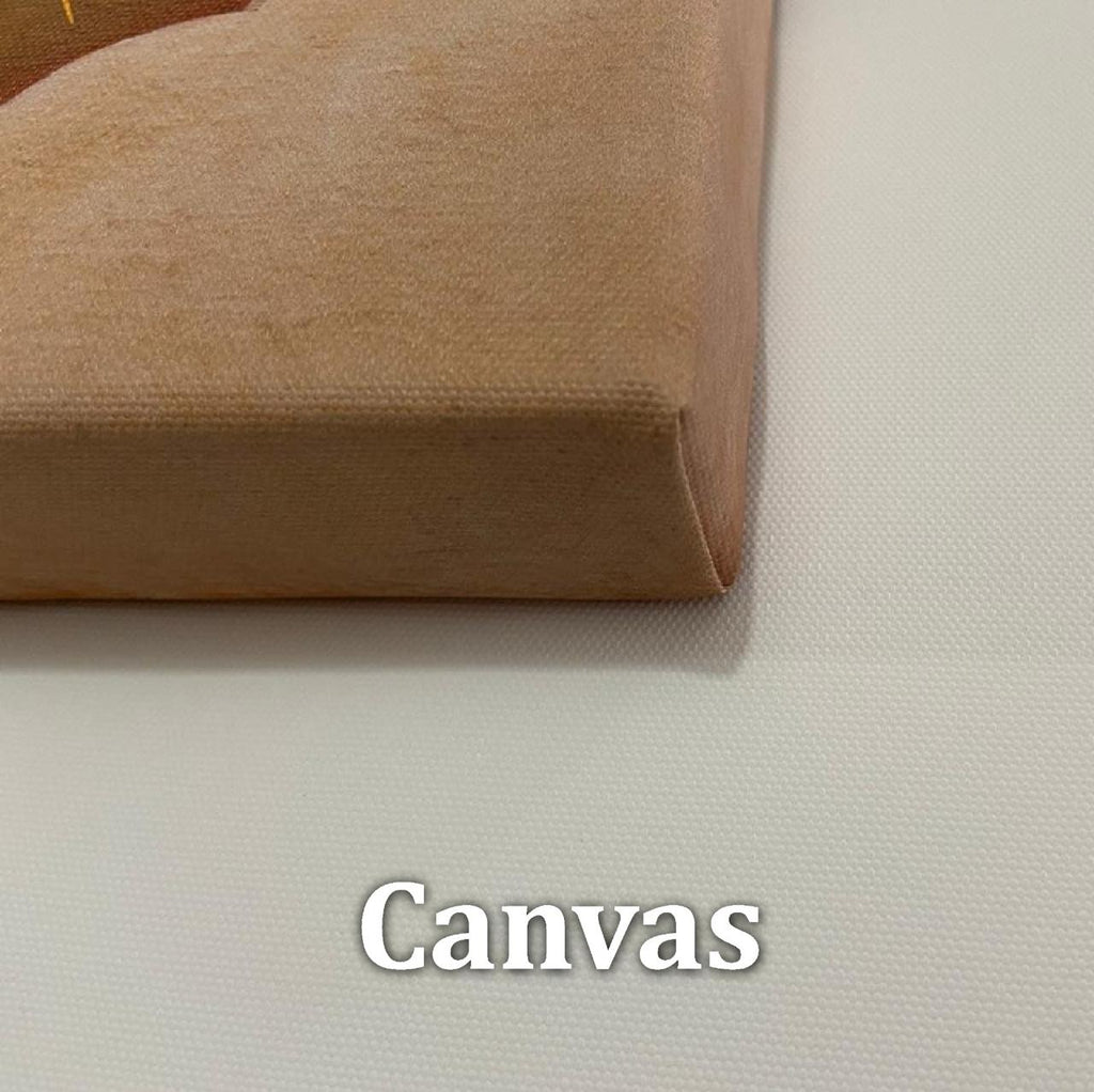 "Sagrado Corazón de Jesús: Luz y Devoción"