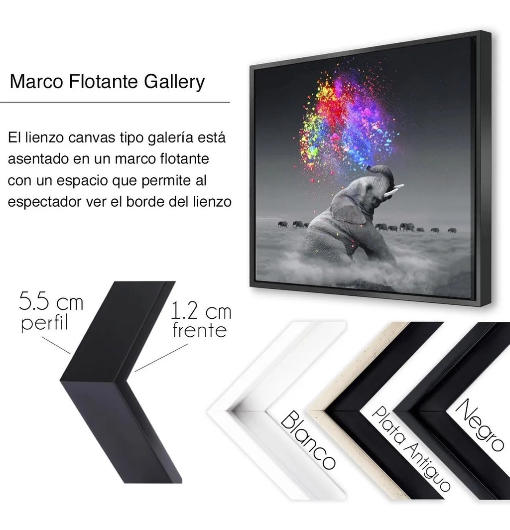 CANVAS CON MARCO "RECTANGULAR"