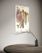 "El Corazón Florece: Anatomía y Belleza de la Vida."